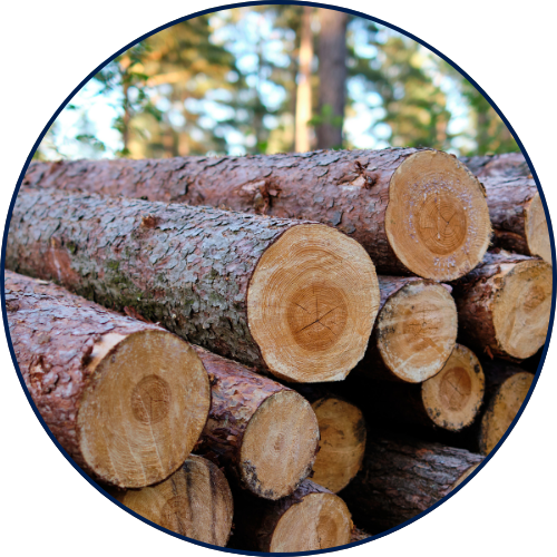 Wood and Lumber close up